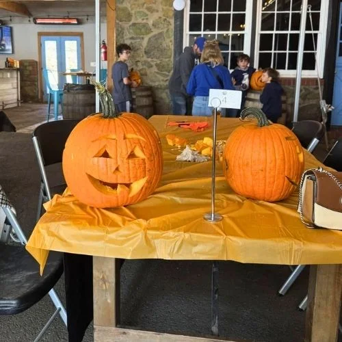 Bear Chase Brewing: Beer & Wine Festival