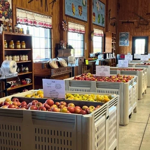 Marker-Miller Orchards: Apple & Pumpkin Celebrations