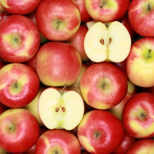 Shenandoah Valley Apple Harvest Festival