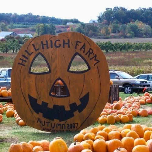 Hill High Farm Pumpkin Patch